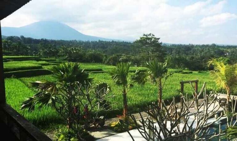 tiamo bali 13 768x459