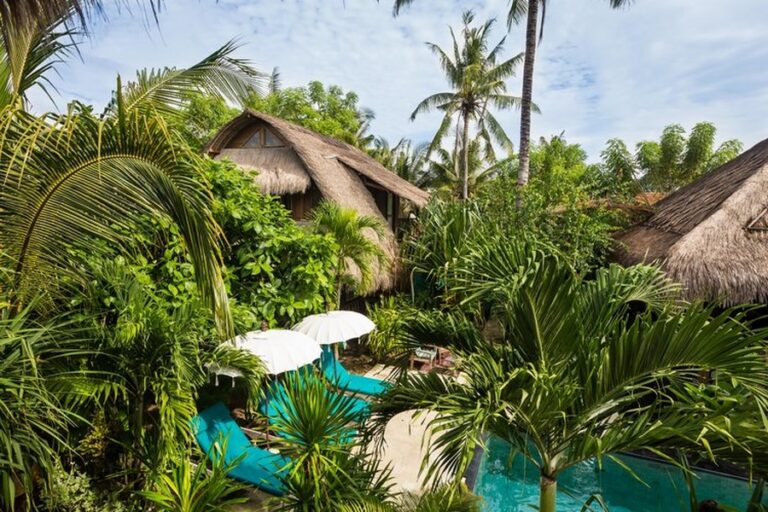 tigerlily 03 768x512