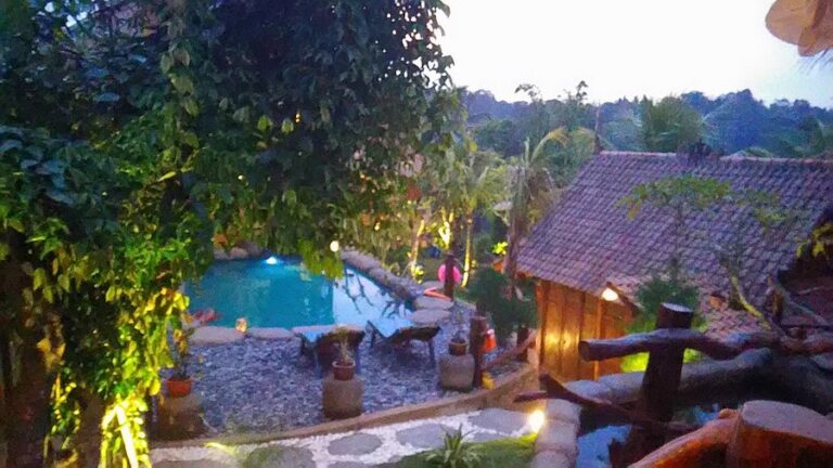 umah hoshi 02 768x432