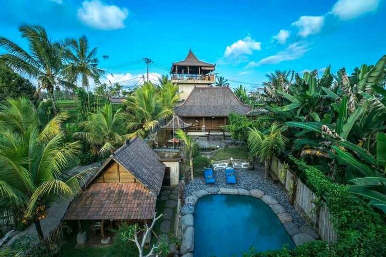 umah hoshi 06 768x512