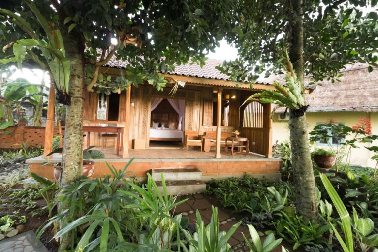 umasari rice terrace 08 768x512