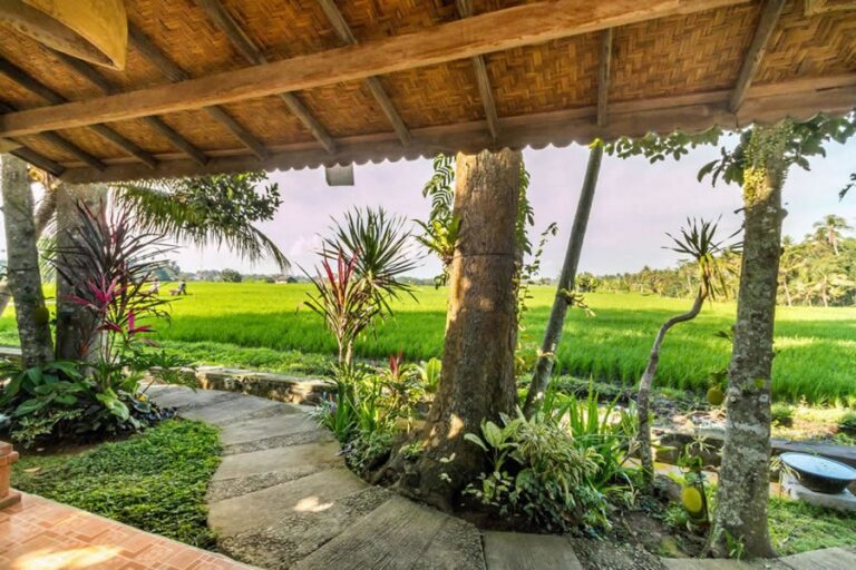 umasari rice terrace 11 768x512