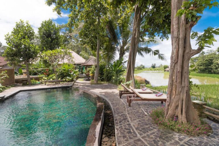 umasari rice terrace 14 768x512