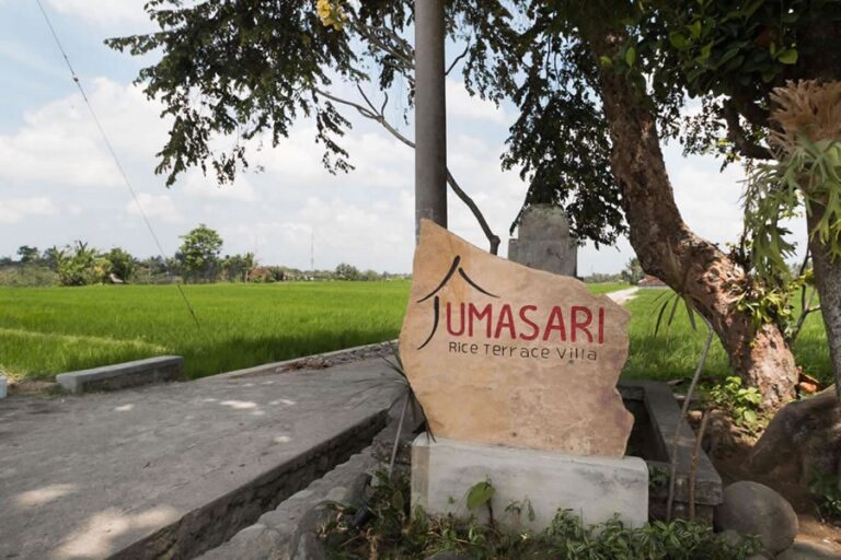 umasari rice terrace 16 768x512