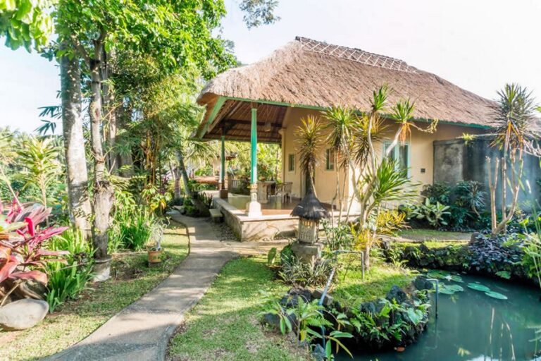 umasari rice terrace 18 768x512