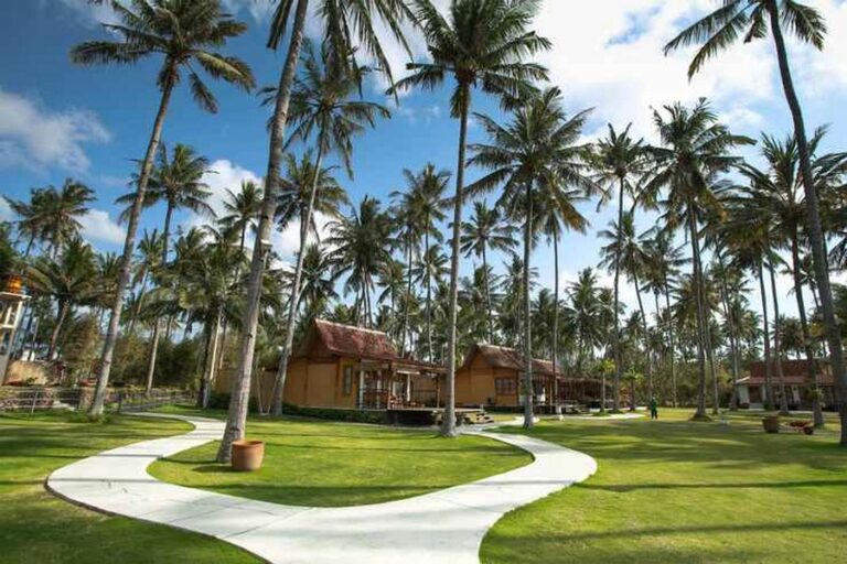 villa solong 17 768x512